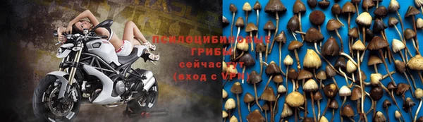 2c-b Михайловск