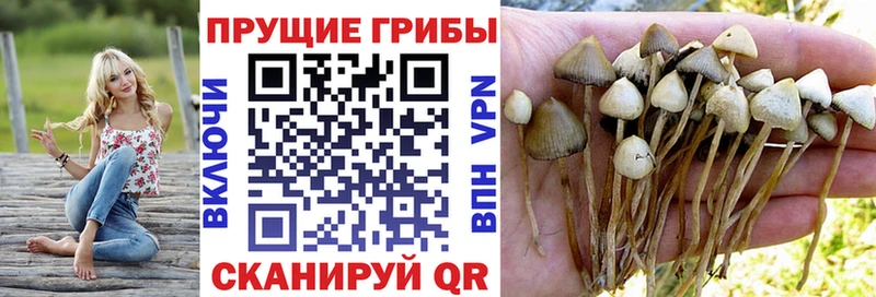 Псилоцибиновые грибы MAGIC MUSHROOMS  omg рабочий сайт  Никольск 